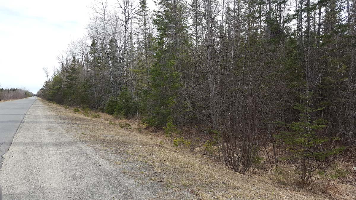 209 Acres Of Land For Sale In Howland, Maine Penobscot County The