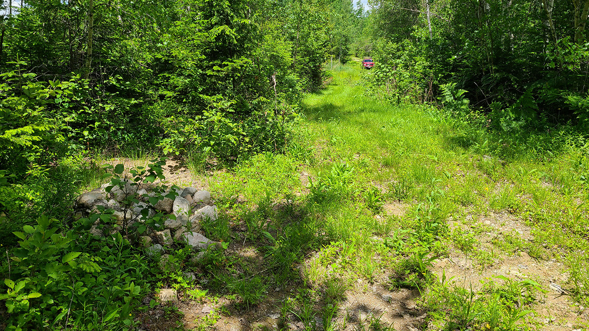 209 Acres Of Land For Sale In Howland, Maine Penobscot County The