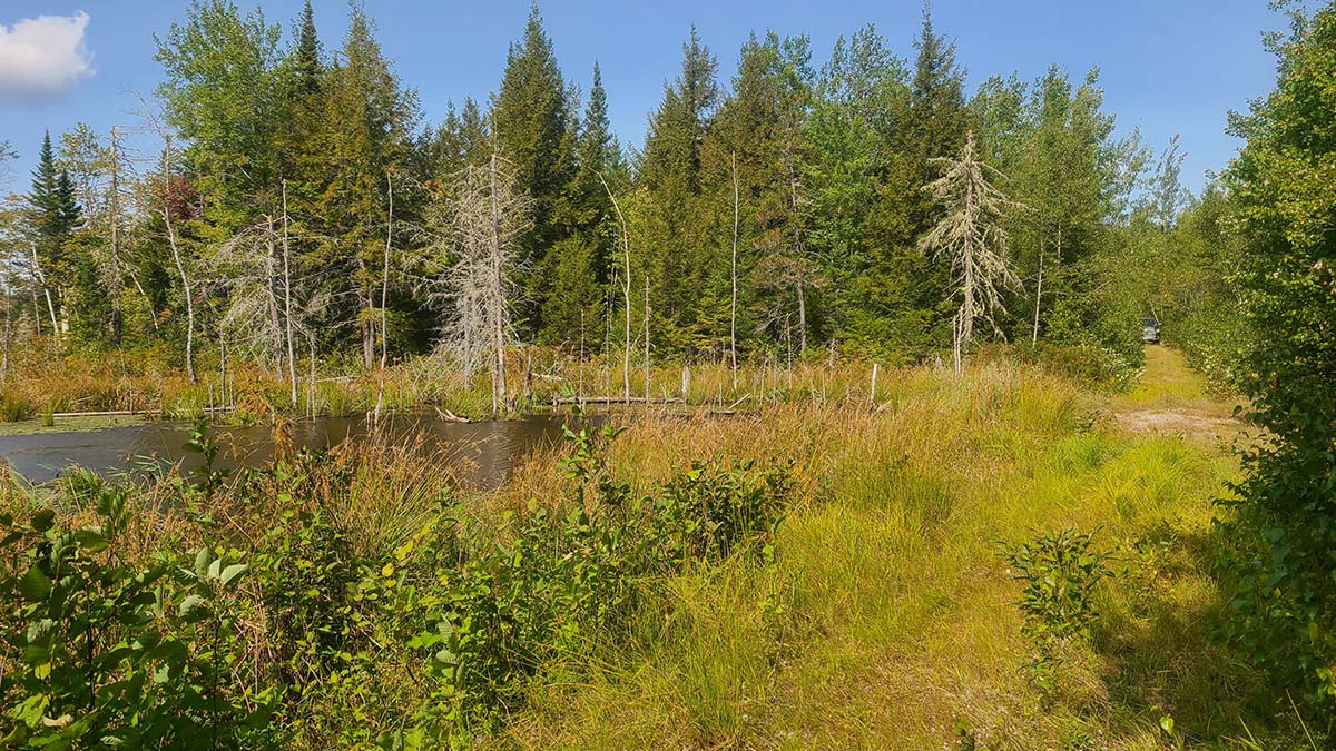209 Acres Of Land For Sale In Howland, Maine Penobscot County The