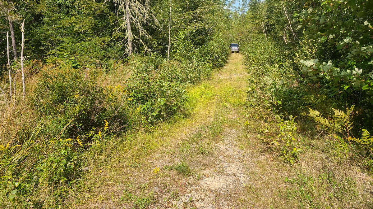 209 Acres Of Land For Sale In Howland, Maine Penobscot County The