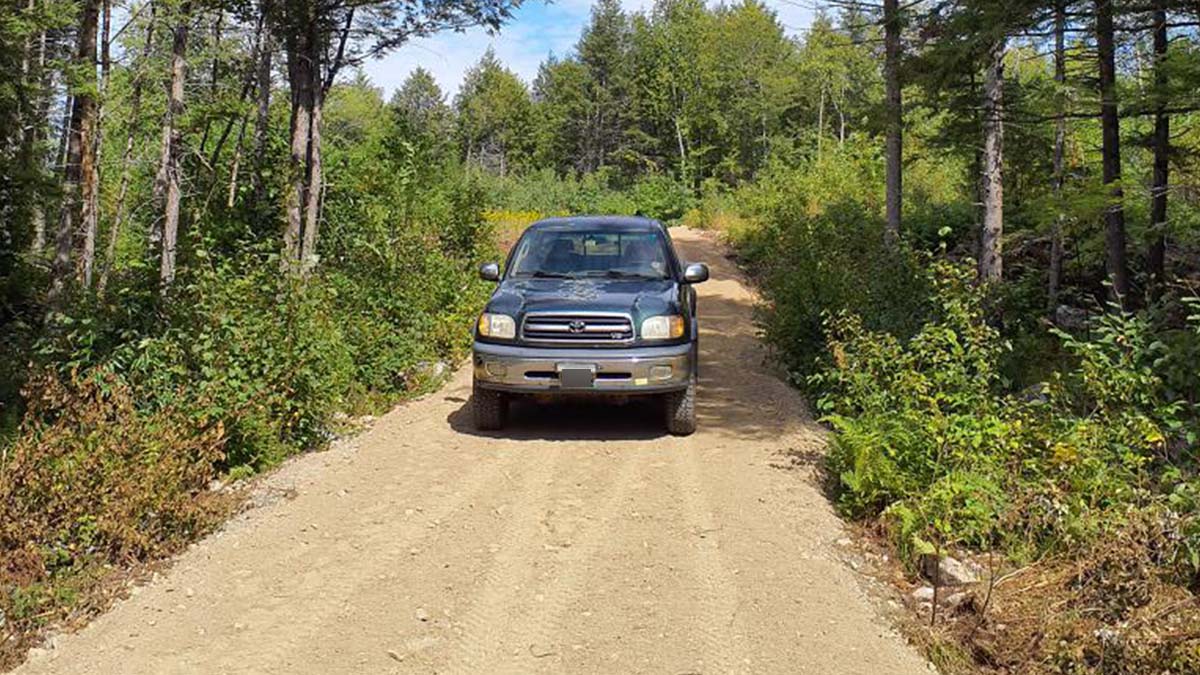 7.1 Acres Of Land For Sale In Burlington, Maine Penobscot County