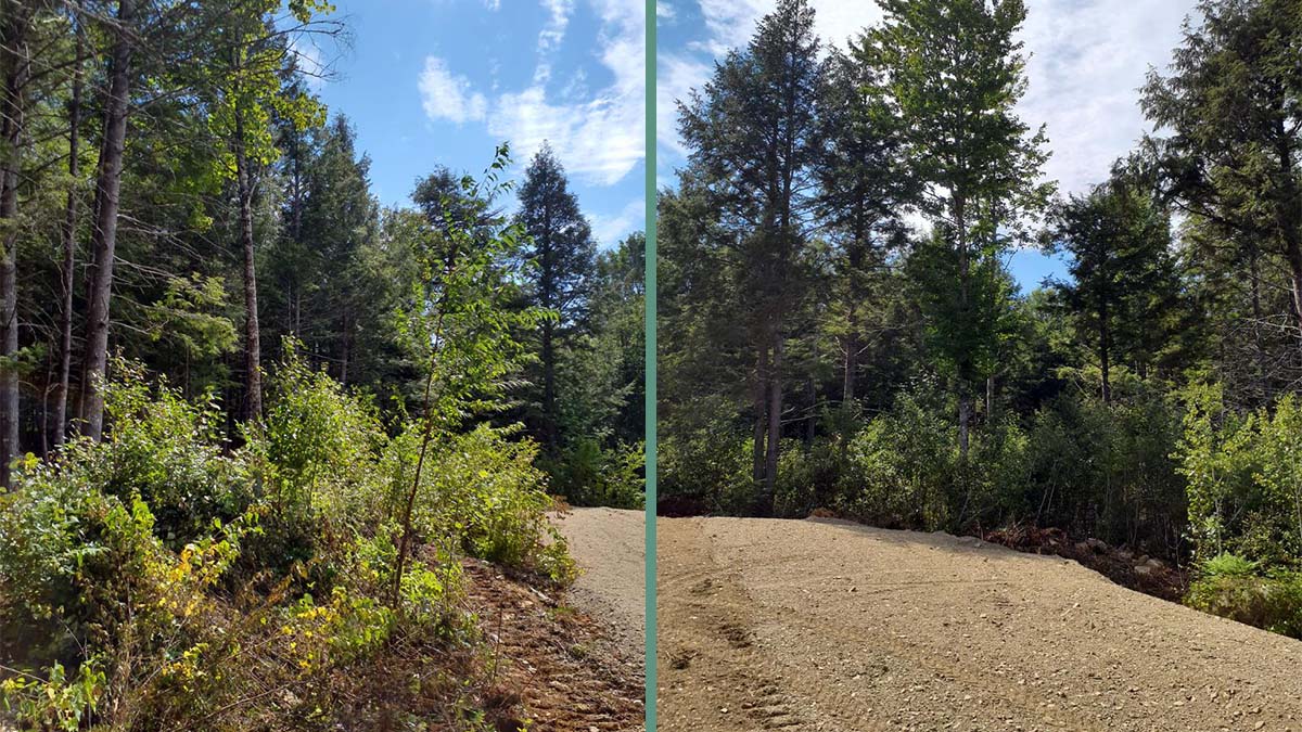 7.1 Acres Of Land For Sale In Burlington, Maine Penobscot County