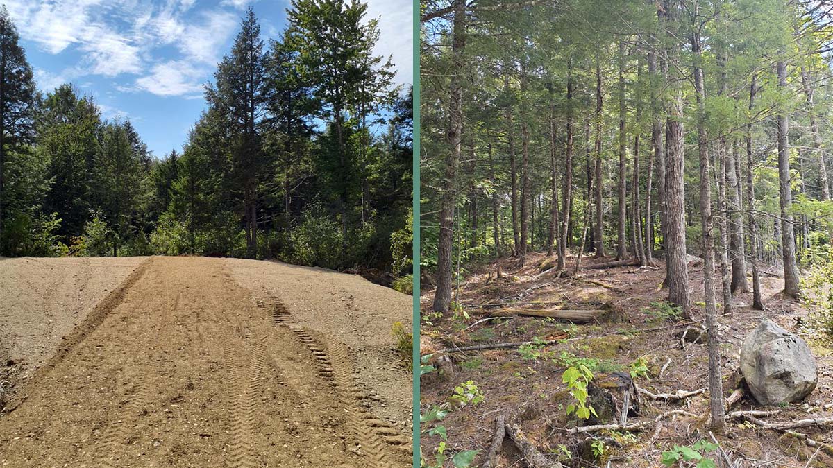 7.1 Acres Of Land For Sale In Burlington, Maine Penobscot County