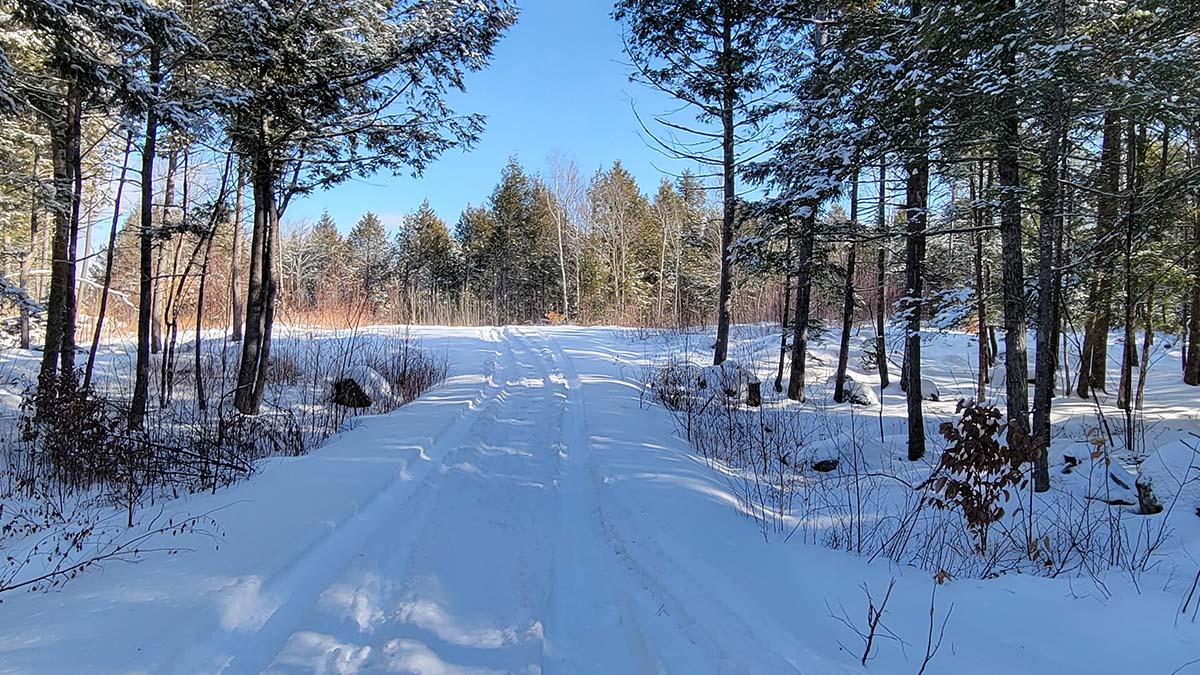 7.1 Acres Of Land For Sale In Burlington, Maine Penobscot County