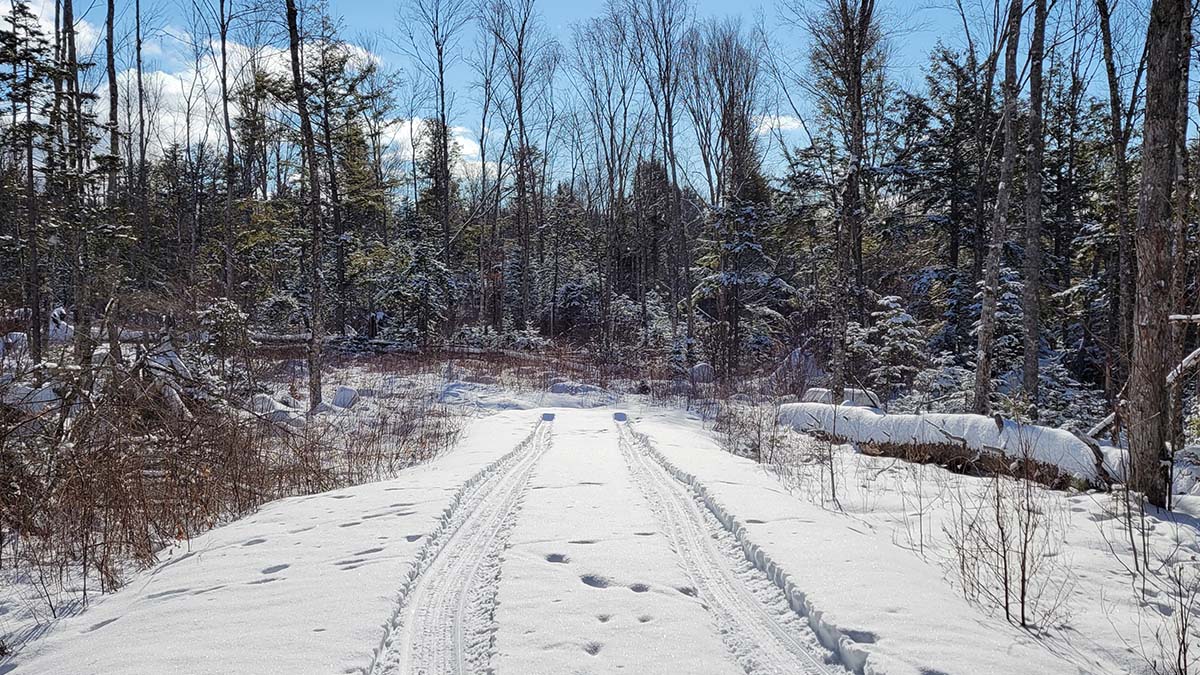 8.3 Acres Of Land For Sale In Burlington, Maine Penobscot County