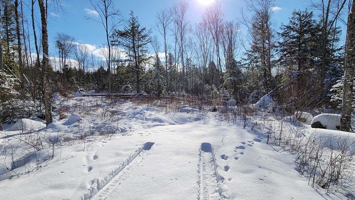 8.3 Acres Of Land For Sale In Burlington, Maine Penobscot County