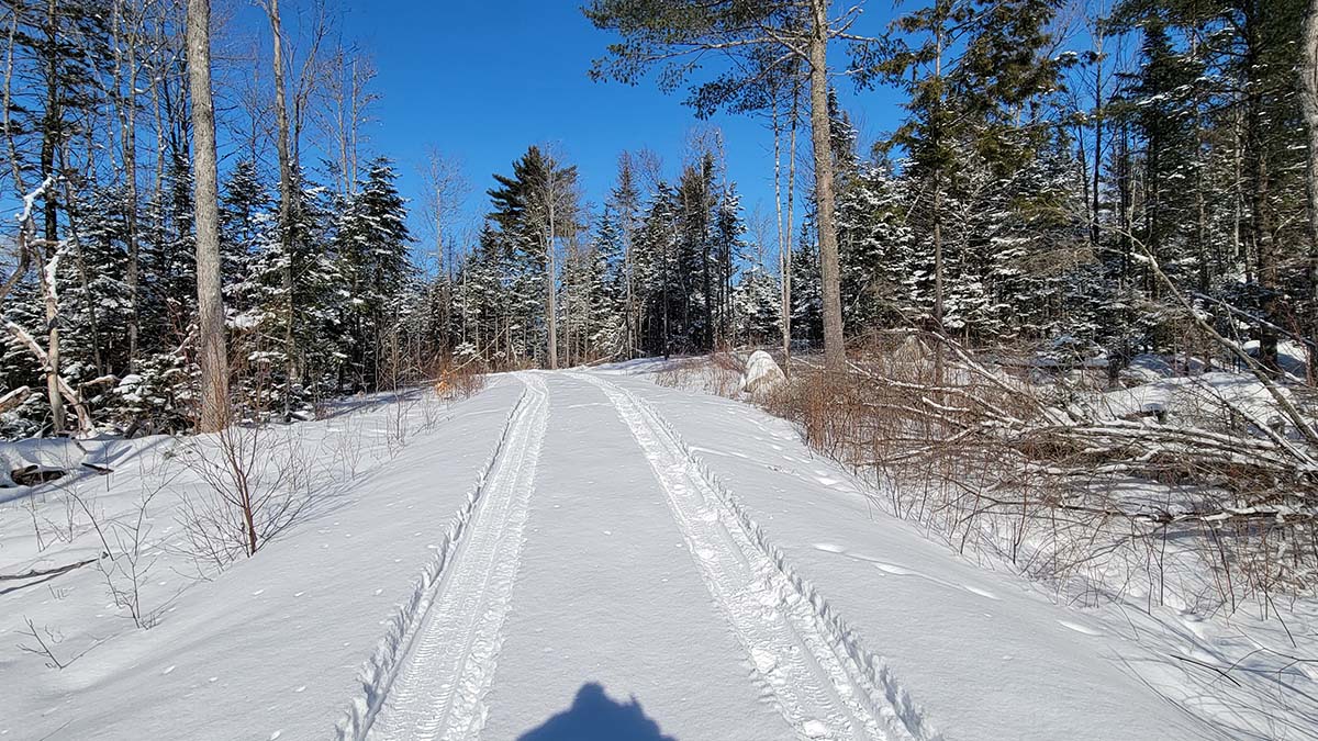 8.3 Acres Of Land For Sale In Burlington, Maine Penobscot County