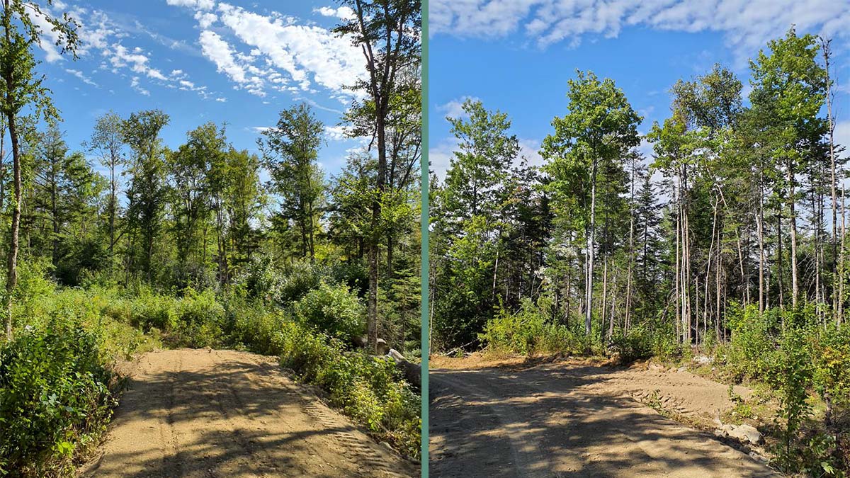 8.3 Acres Of Land For Sale In Burlington, Maine Penobscot County