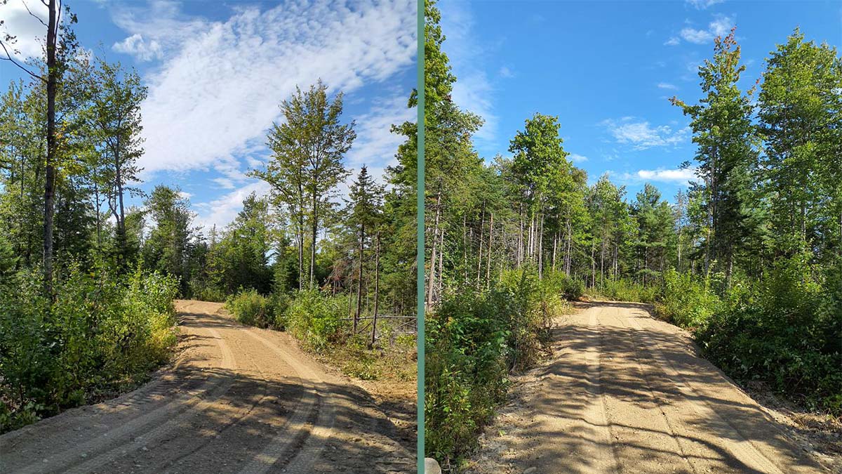 8.3 Acres Of Land For Sale In Burlington, Maine Penobscot County