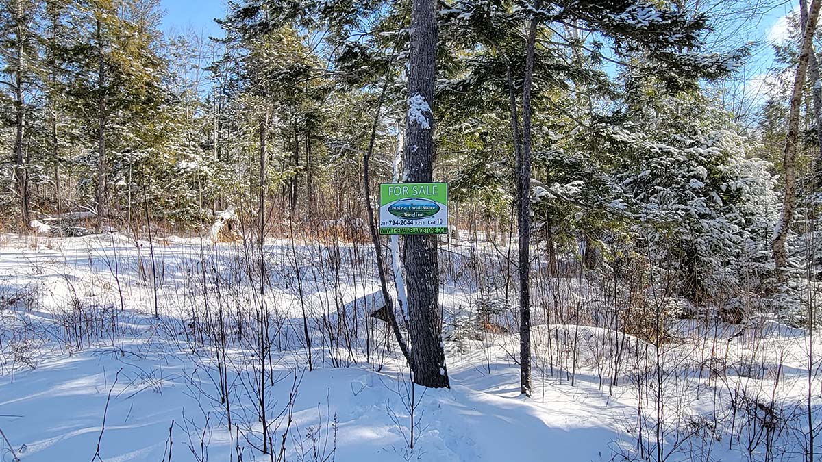 4.2 Acres Of Land For Sale In Burlington, Maine Penobscot County