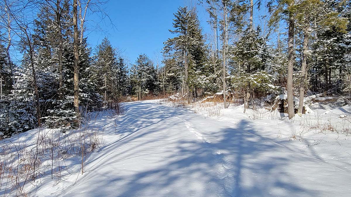 4.2 Acres Of Land For Sale In Burlington, Maine Penobscot County