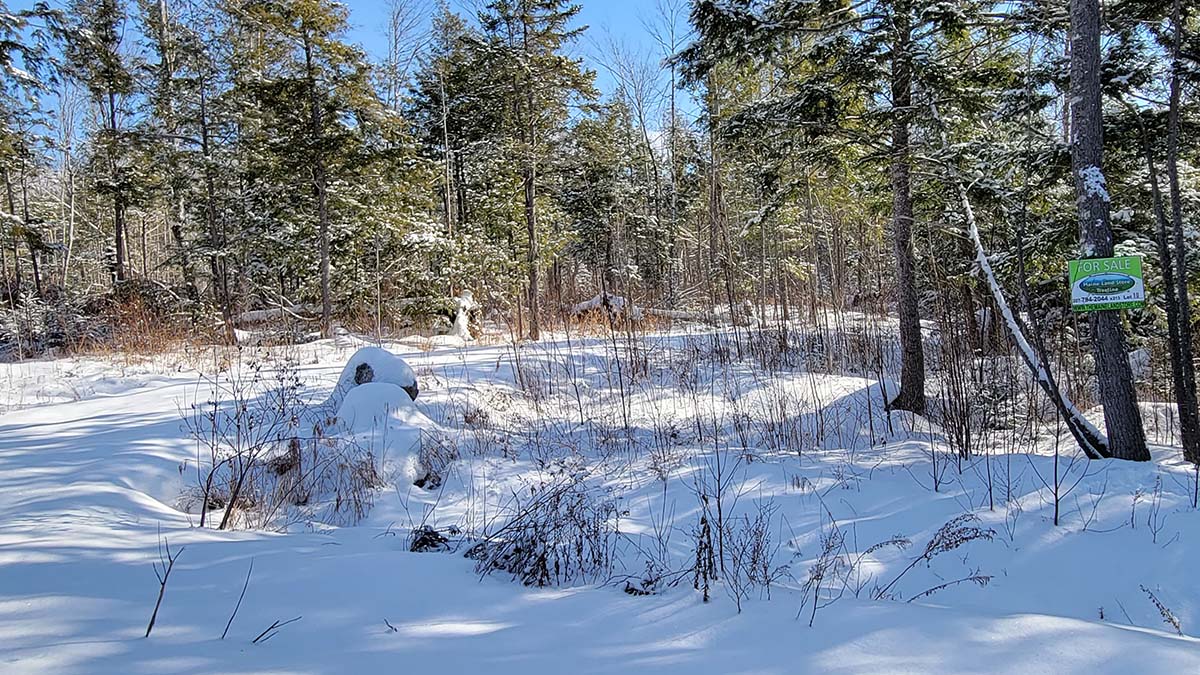 4.2 Acres Of Land For Sale In Burlington, Maine Penobscot County