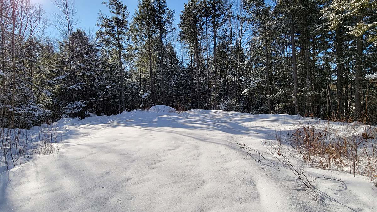 4.2 Acres Of Land For Sale In Burlington, Maine Penobscot County