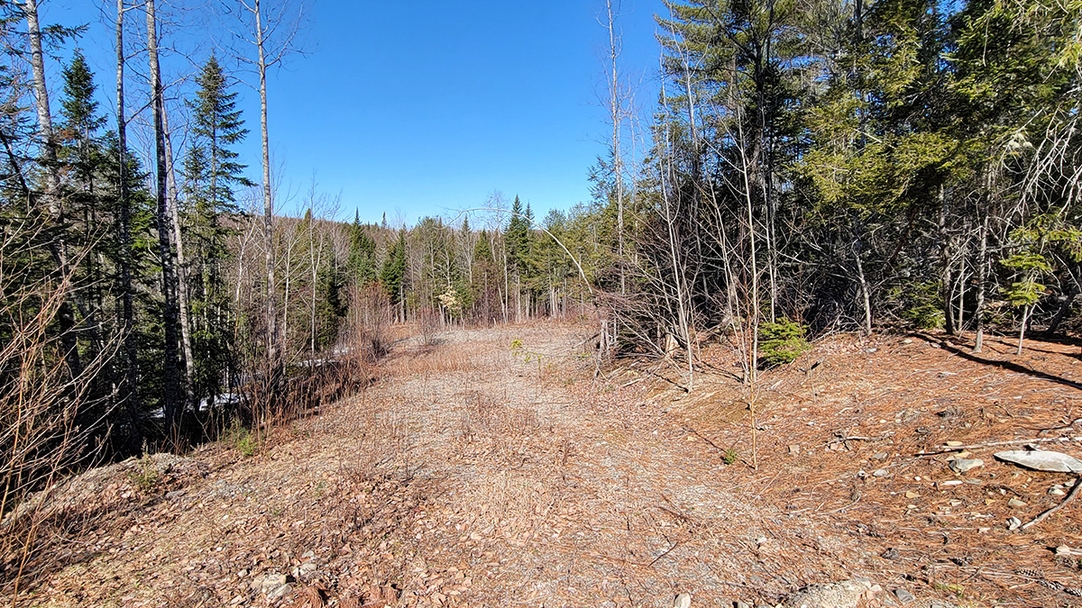 4 Acres Of Land For Sale In Seboeis Plantation, Maine Penobscot