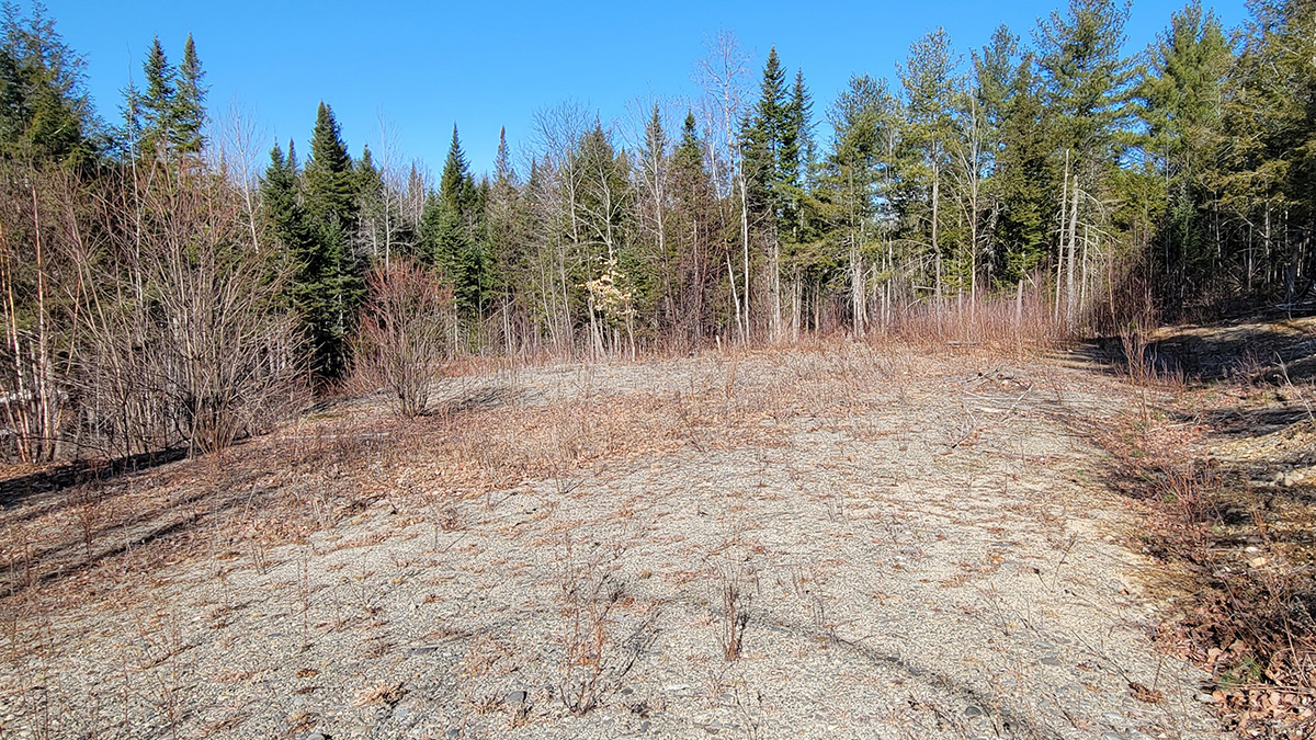 4 Acres Of Land For Sale In Seboeis Plantation, Maine Penobscot