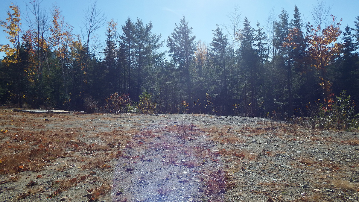 4 Acres Of Land For Sale In Seboeis Plantation, Maine Penobscot