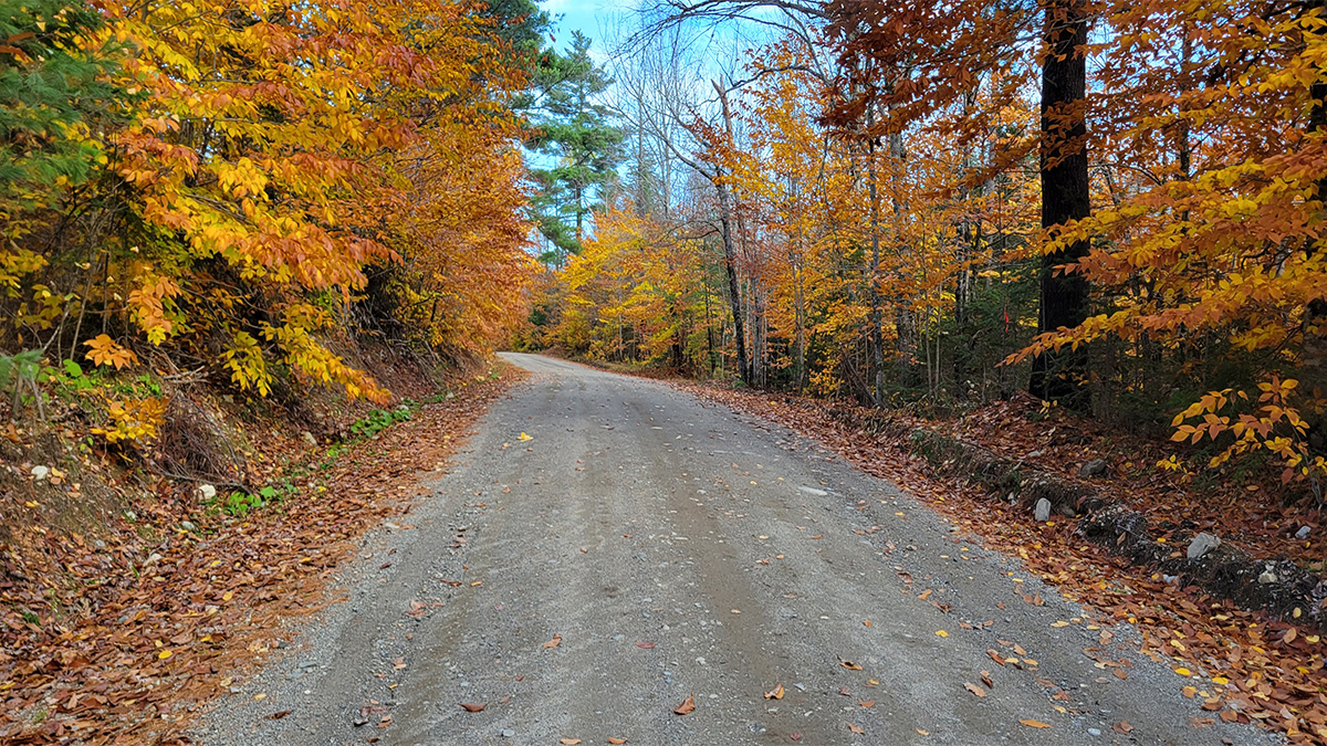 The Maine Land Store Where Your Own Piece Of Maine Is Waiting For You.
