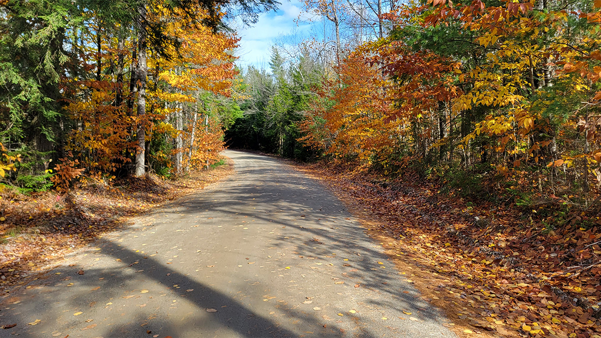 The Maine Land Store Where Your Own Piece Of Maine Is Waiting For You.