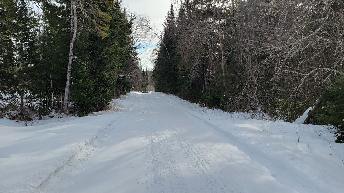 26.4 Acres Of Land For Sale In Springfield, Maine Penobscot County