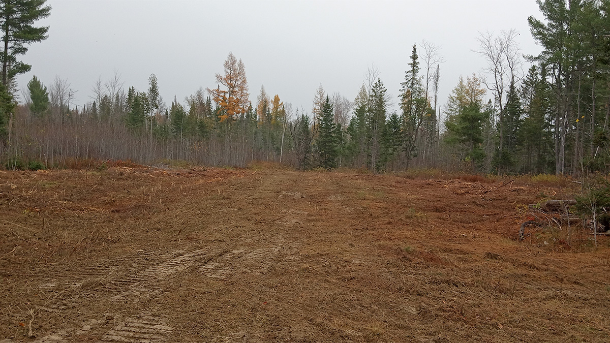 26.4 Acres Of Land For Sale In Springfield, Maine Penobscot County