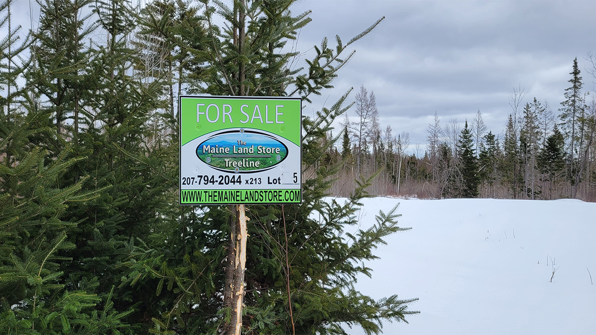 26.4 Acres Of Land For Sale In Springfield, Maine Penobscot County