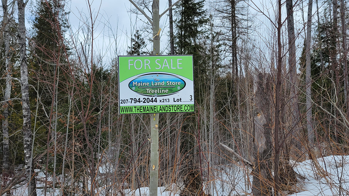 41.3 Acres Of Land For Sale In Springfield, Maine Penobscot County