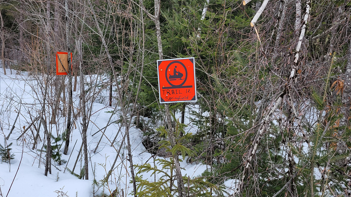 41.3 Acres Of Land For Sale In Springfield, Maine Penobscot County