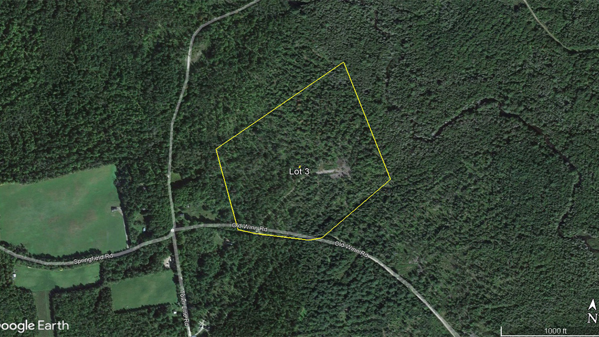 41.3 Acres Of Land For Sale In Springfield, Maine Penobscot County