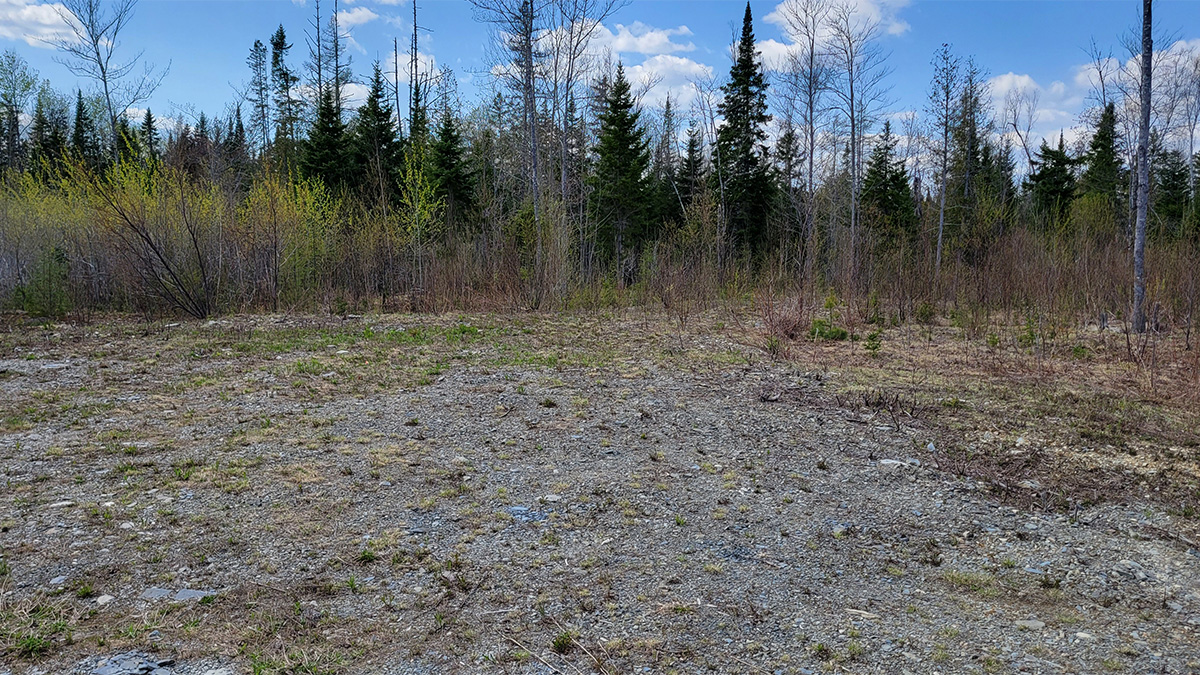 8.1 Acres Of Land For Sale In Crystal, Maine Aroostook County The