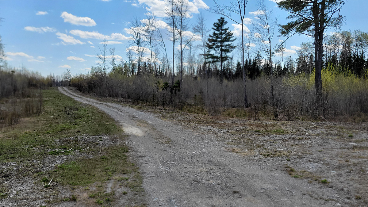 8.1 Acres Of Land For Sale In Crystal, Maine Aroostook County The