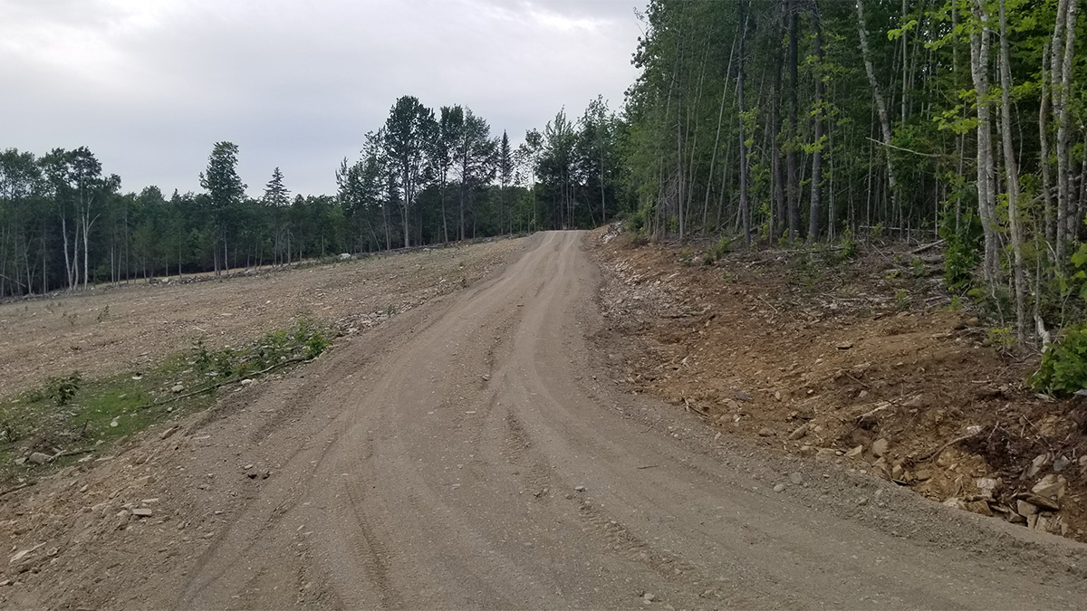 6.6 Acres Of Land For Sale In Burlington, Maine Penobscot County