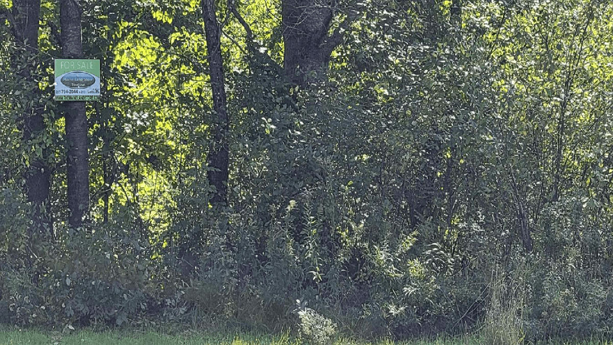 2.5 Acres Of Land For Sale In Island Falls, Maine Aroostook County