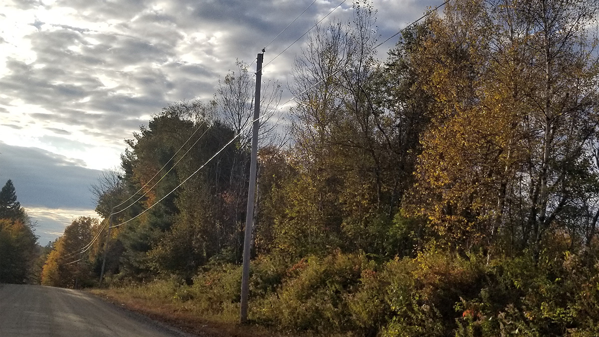 3.3 Acres Of Land For Sale In Lee, Maine Aroostook County The Maine