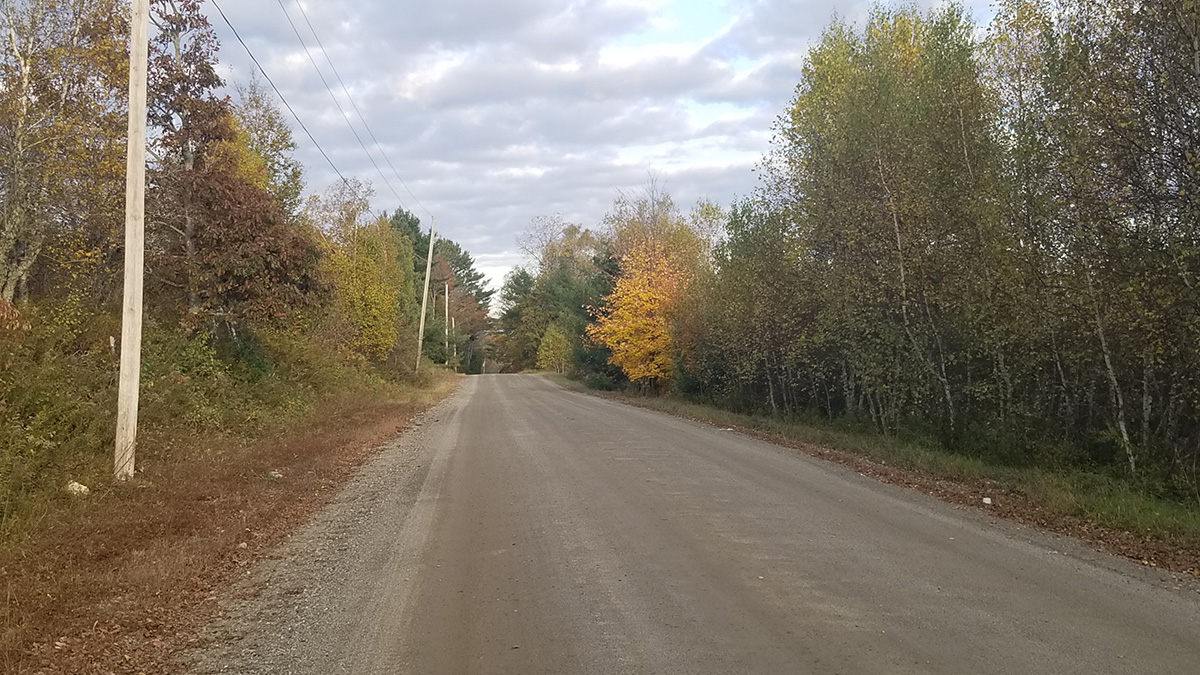 3.3 Acres Of Land For Sale In Lee, Maine Aroostook County The Maine