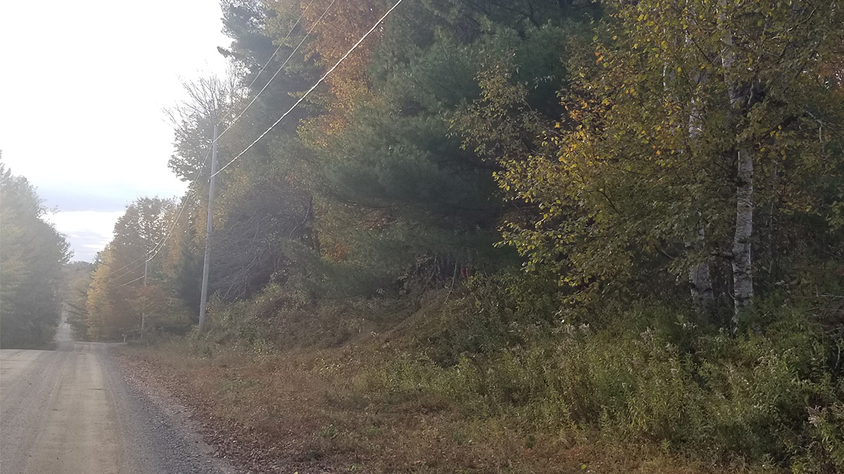 3.3 Acres Of Land For Sale In Lee, Maine Aroostook County The Maine