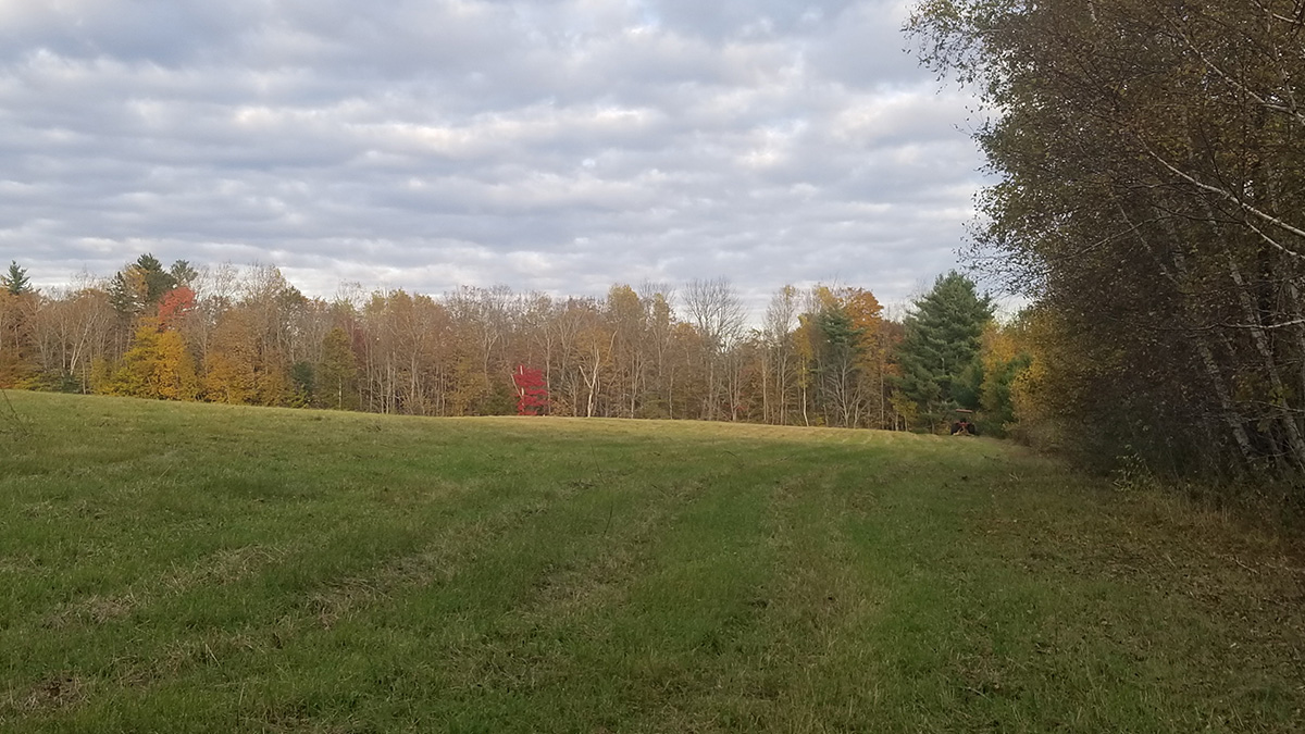 3.3 Acres Of Land For Sale In Lee, Maine Aroostook County The Maine