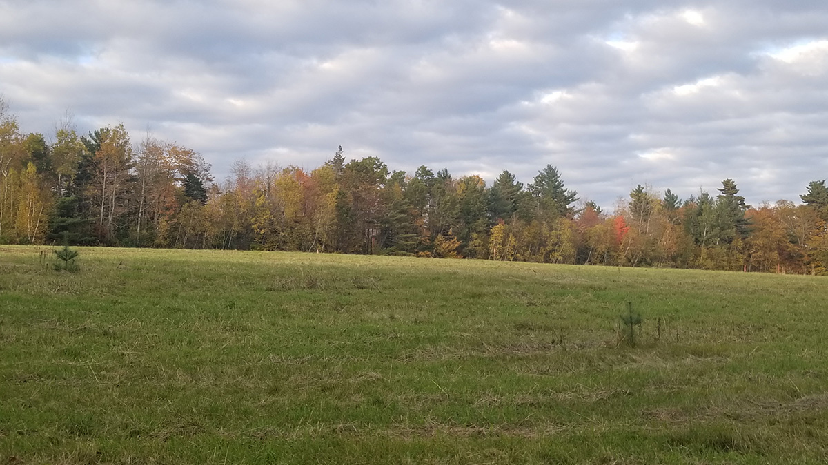 3.3 Acres Of Land For Sale In Lee, Maine Aroostook County The Maine