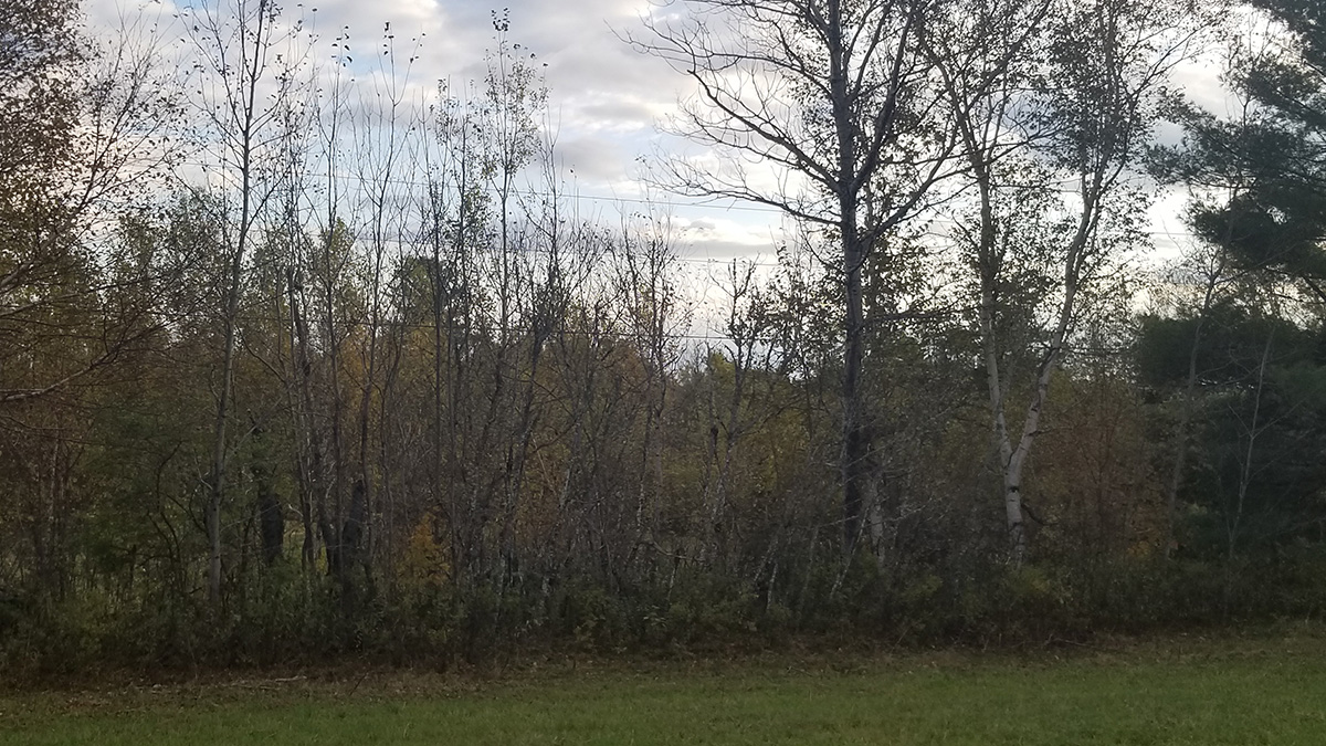 3.3 Acres Of Land For Sale In Lee, Maine Aroostook County The Maine