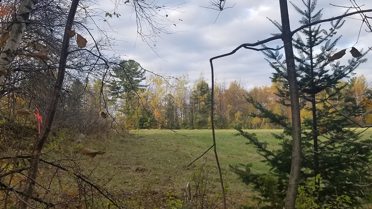 3.3 Acres Of Land For Sale In Lee, Maine Aroostook County The Maine