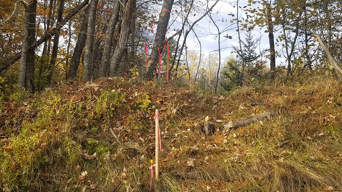 3.3 Acres Of Land For Sale In Lee, Maine Aroostook County The Maine