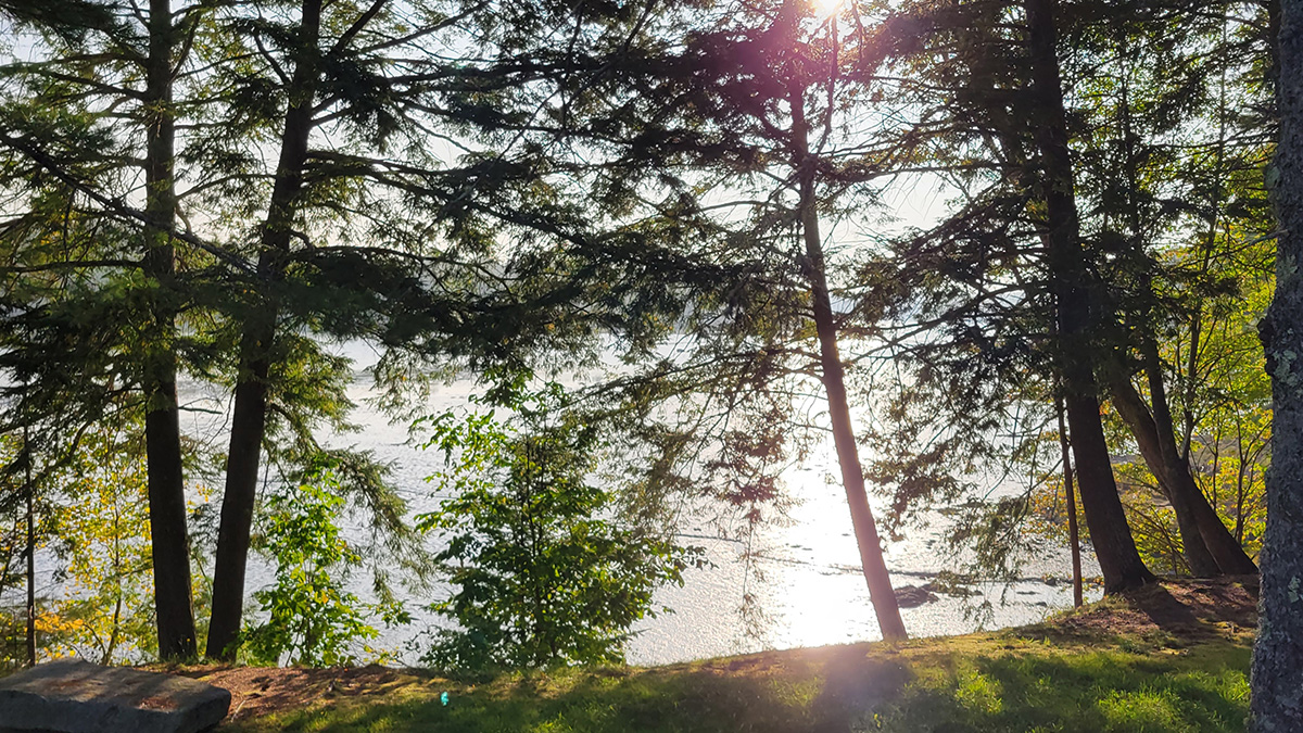 2.9 Acres Of Land For Sale In Sullivan, Maine Hancock County The