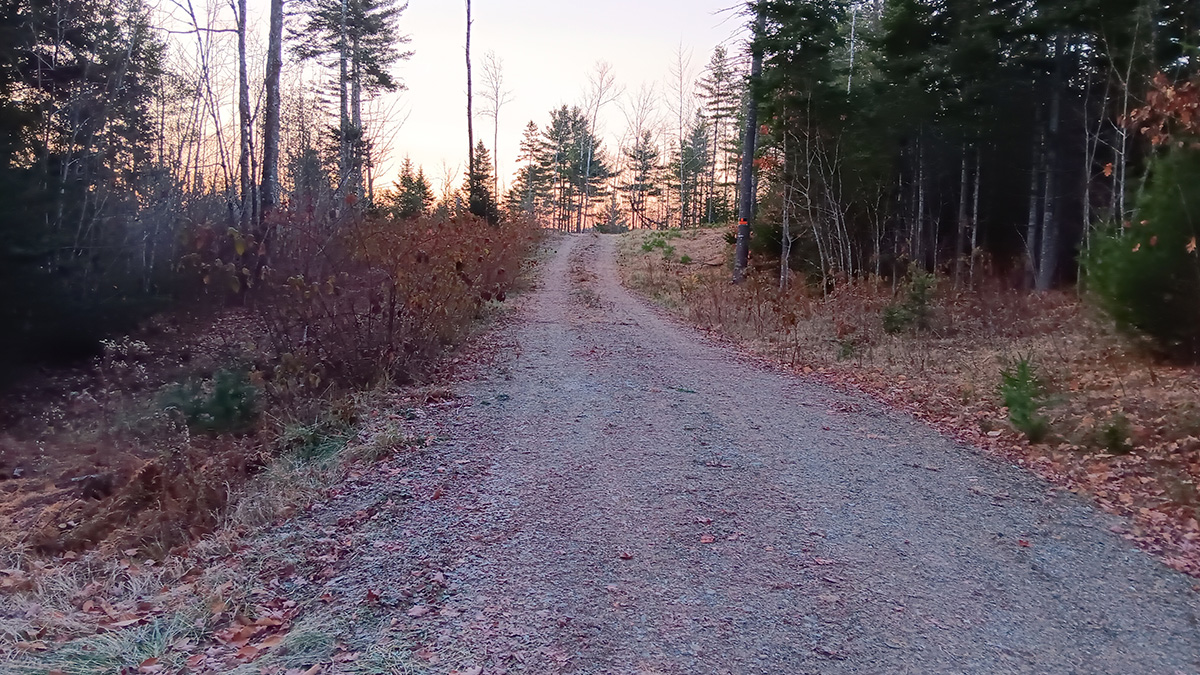 3.5 Acres Of Land For Sale In Lee, Maine Penobscot County The Maine