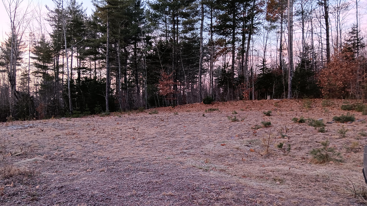 3.5 Acres Of Land For Sale In Lee, Maine Penobscot County The Maine