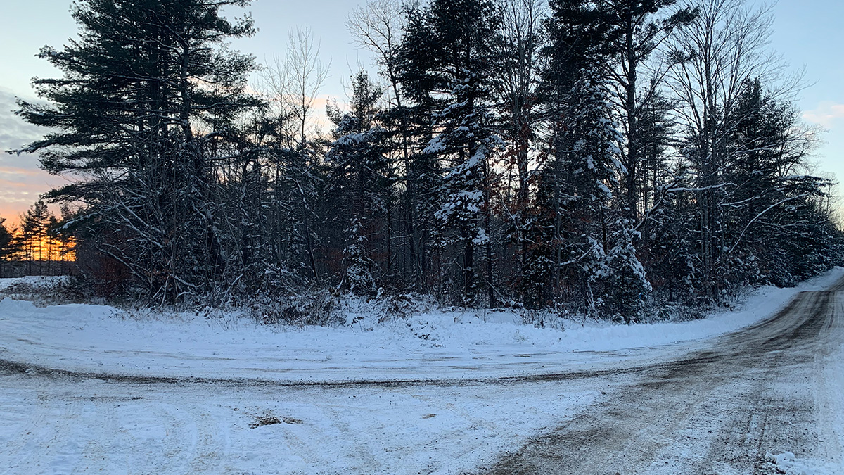3.5 Acres Of Land For Sale In Lee, Maine Penobscot County The Maine