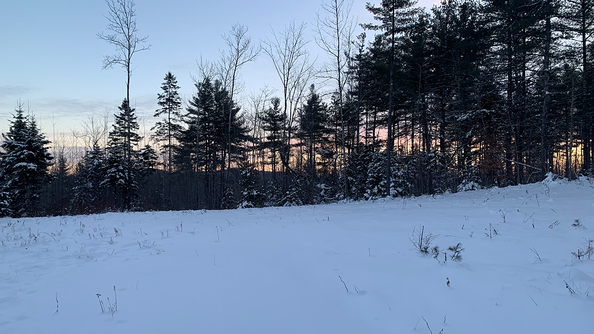 3.5 Acres Of Land For Sale In Lee, Maine Penobscot County The Maine