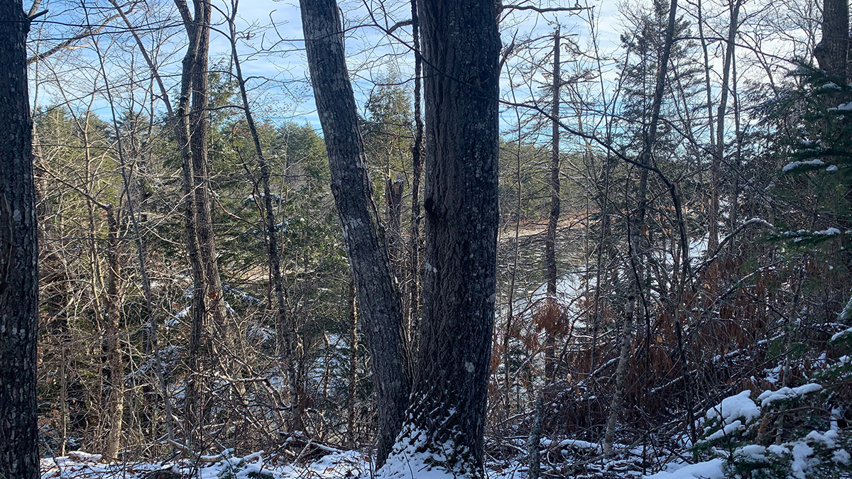19 Acres Of Land For Sale In Mattawamkeag, Maine Penobscot County