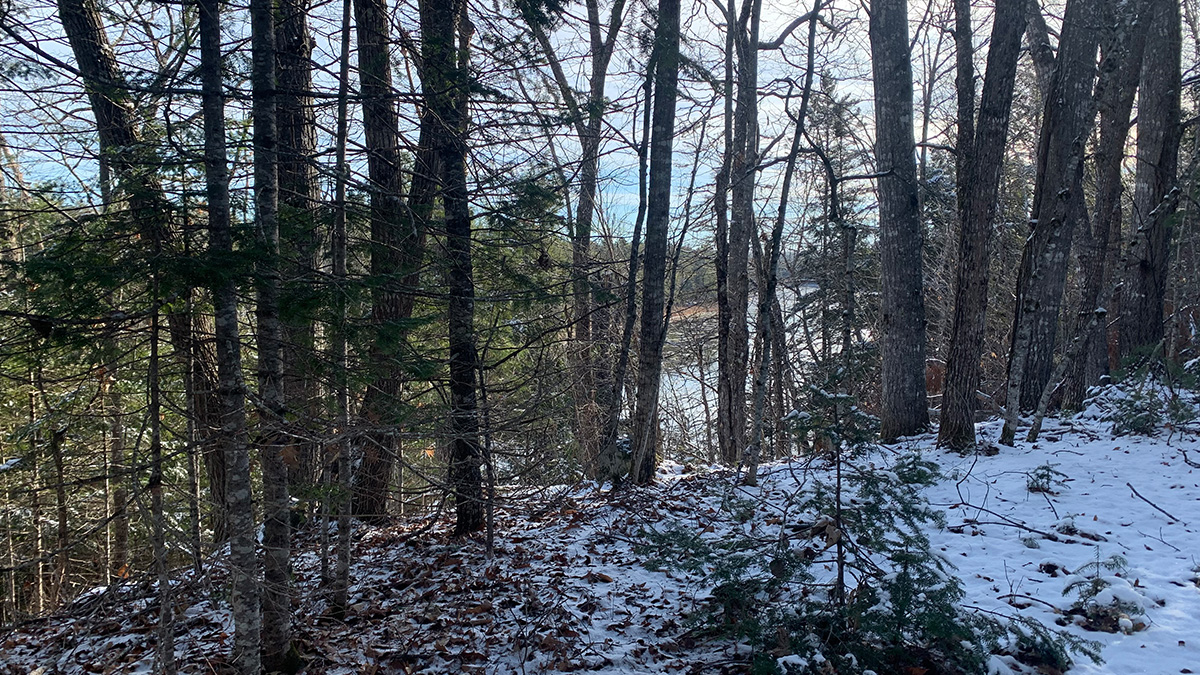 19 Acres Of Land For Sale In Mattawamkeag, Maine Penobscot County