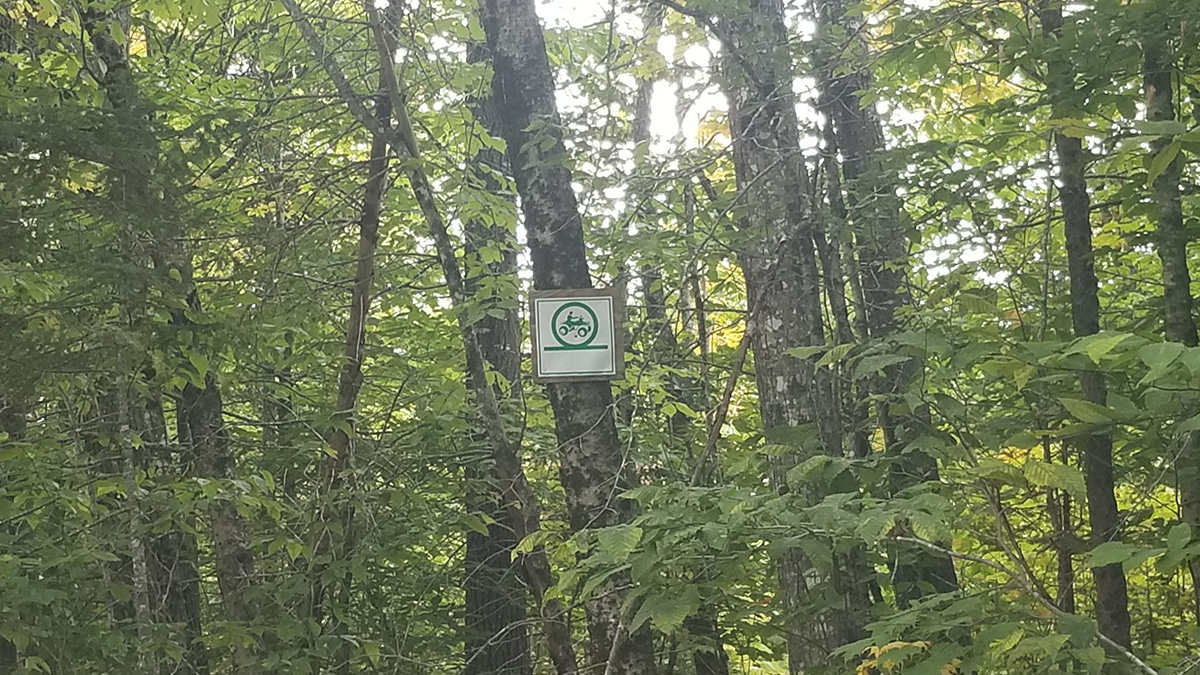 13.1 Acres Of Land For Sale In Lee, Maine Penobscot County The Maine Land Store