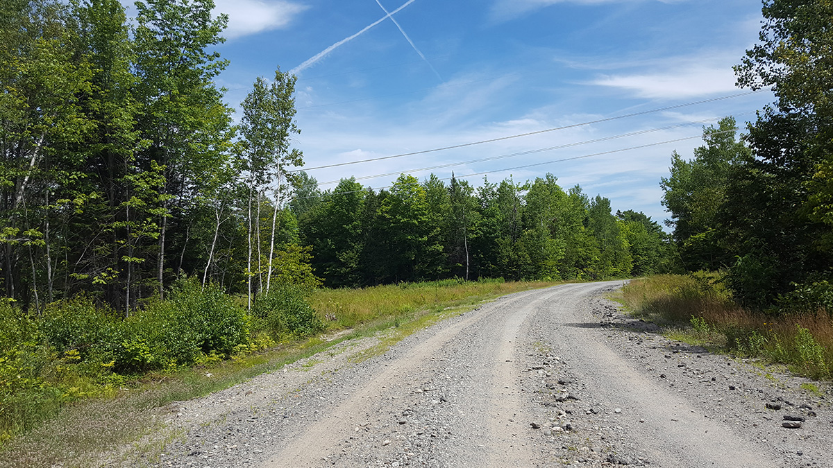 100 Acres Of Land For Sale In Woodville, Maine Penobscot County The