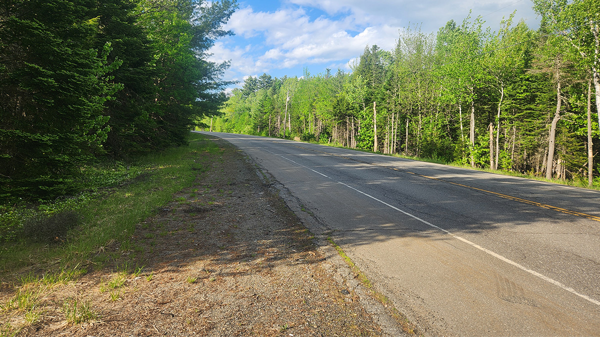 41 Acres Of Land For Sale In Mattawamkeag, Maine Penobscot County